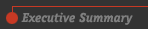 Executive Summary