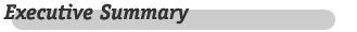 Executive Summary
